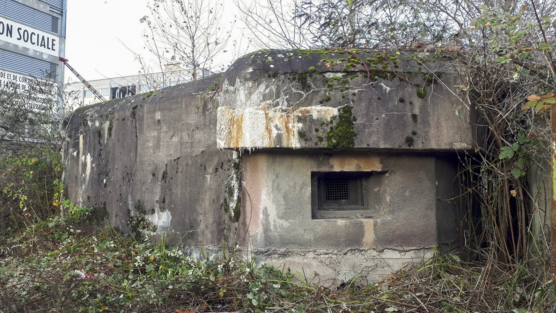 Ligne Maginot - 430G - PORT DU RHIN CENTRE 11 - (Blockhaus pour arme infanterie) - Créneau est