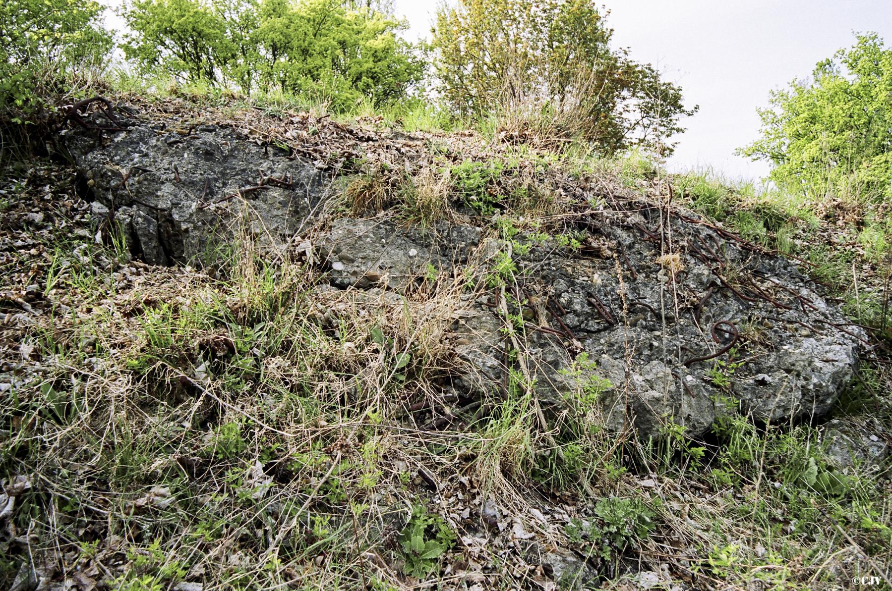 Ligne Maginot - BASSIN AUX PETROLES - (Casemate d'infanterie - Double) - Restes de béton apparents