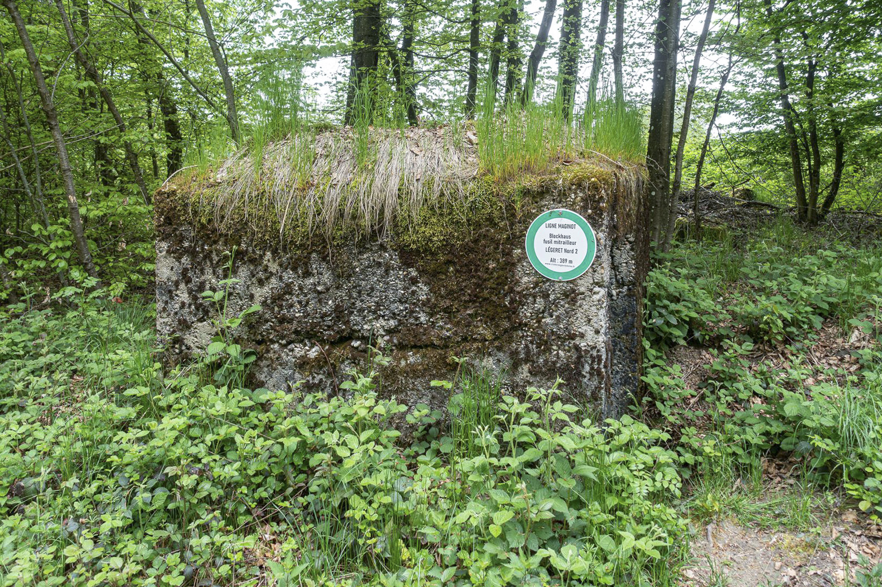 Ligne Maginot - LEGERET NORD 5 - GM2 - (Blockhaus pour arme infanterie) - 