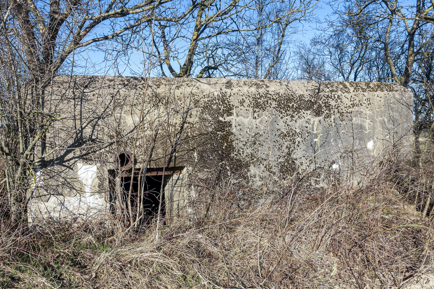 Ligne Maginot - KOHLFELD - (Blockhaus pour canon) - Entrée du personnel