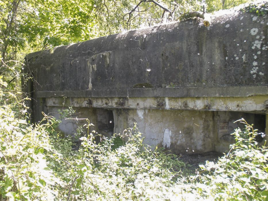 Ligne Maginot - MUSAU - (Casemate d'infanterie - Double) - L'une des chambres de tir