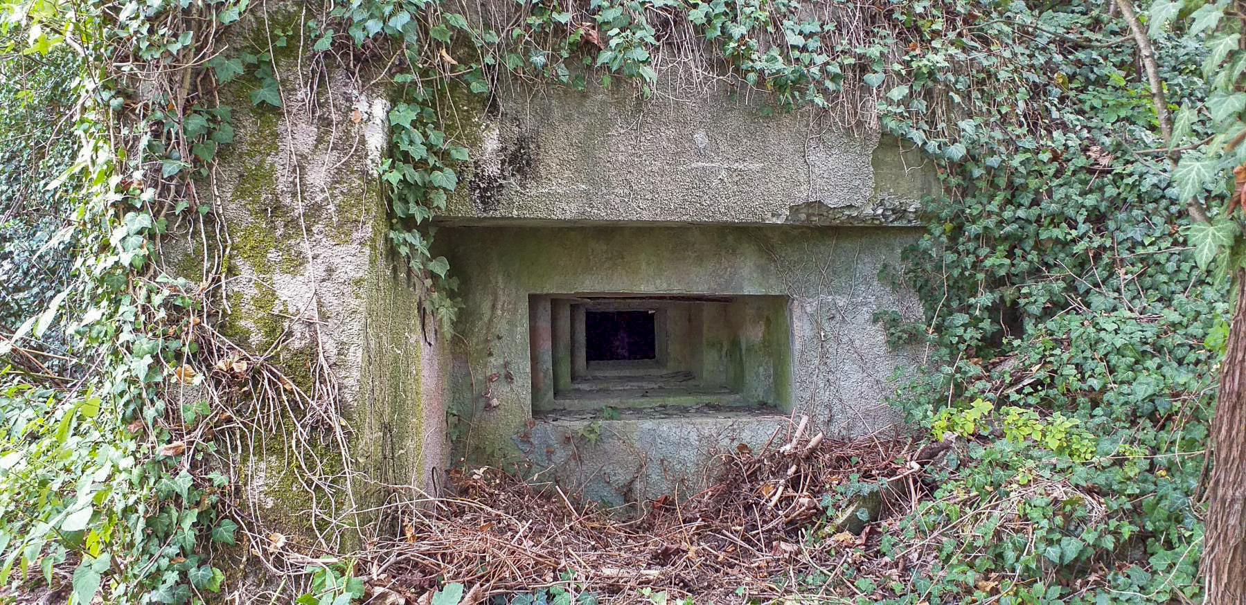 Ligne Maginot - OBSERVATOIRE EST DES CERISIERS - (Blockhaus pour arme infanterie) - Créneau mitrailleuse Nord-Est