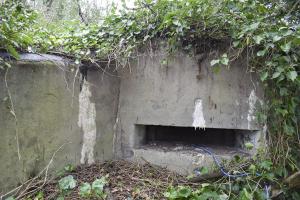 Ligne Maginot - ECLUSE 52 SUD - (Blockhaus pour canon) - Créneau