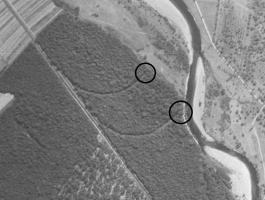 Ligne Maginot - REGUISHEIM (10/373e RALVF) - (Position ALVF) - Les deux épis courbes sont bien visibles dans la forêt.