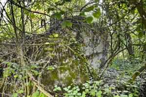Ligne Maginot - G58 - KEMBS BERGE NORD - (Blockhaus pour arme infanterie) - Ruine du blockhaus