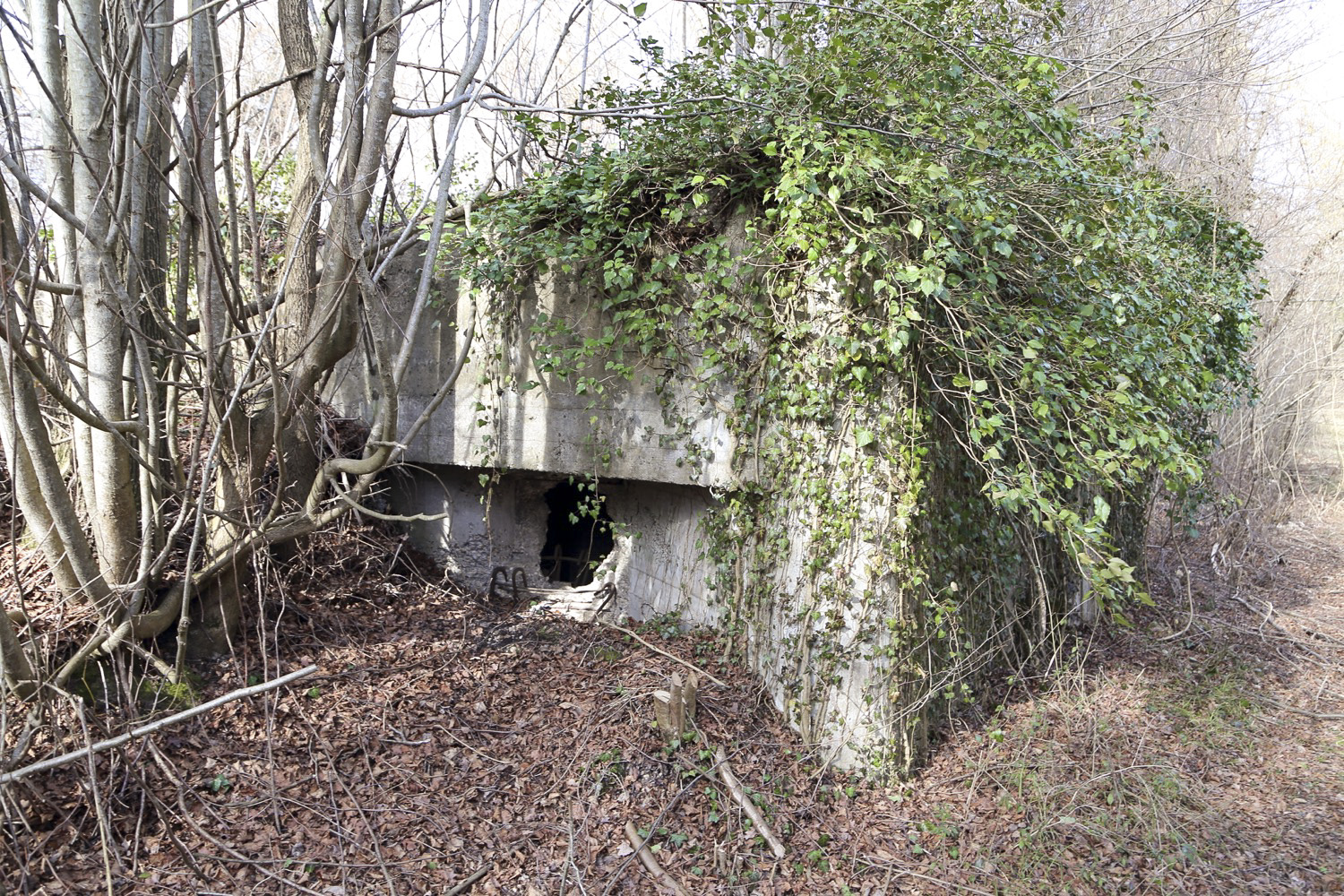 Ligne Maginot - BREITSAND 8 - (Blockhaus pour arme infanterie) - 