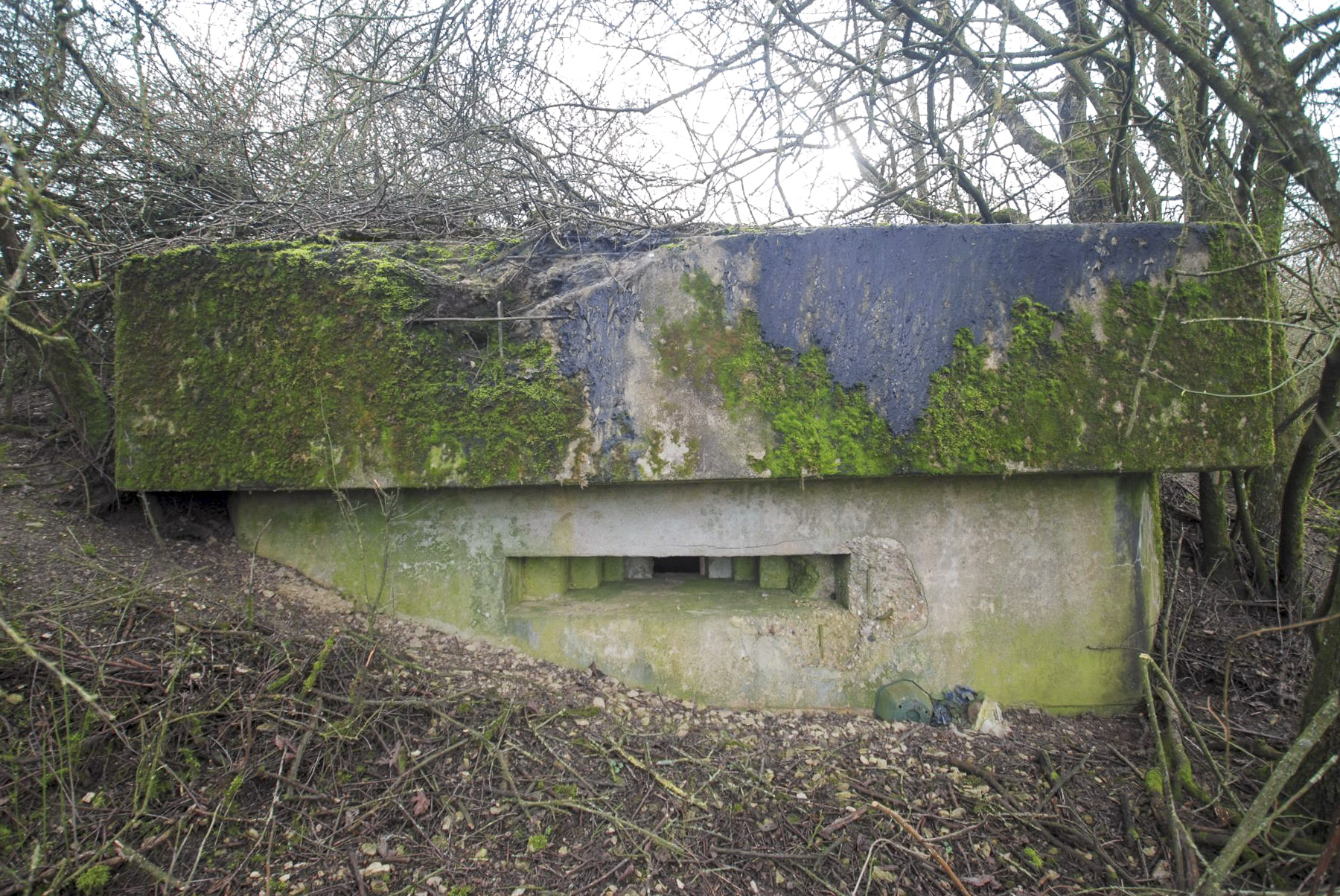 Ligne Maginot - MISSLINGEN 6 - (Blockhaus pour arme infanterie) - Façade avant
Créneau mitrailleuse