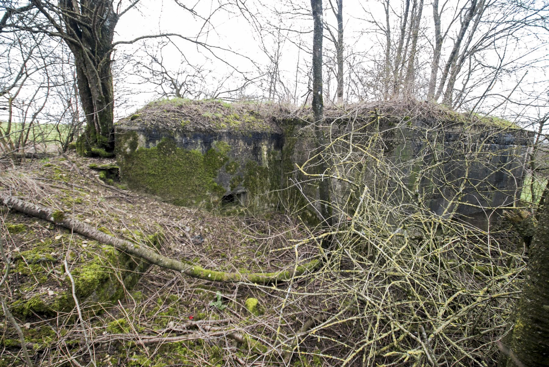 Ligne Maginot - MISSLINGEN 3 - (Blockhaus pour canon) - 
