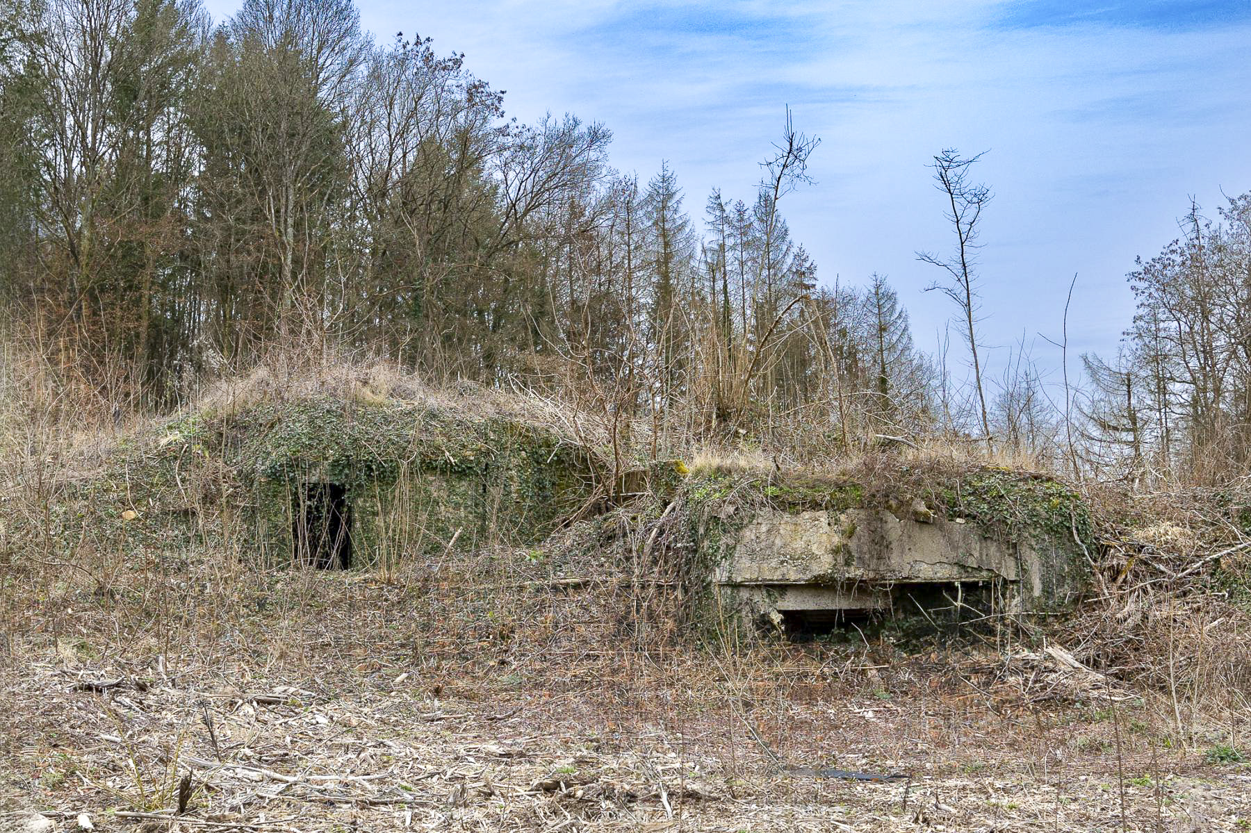 Ligne Maginot - GROSSWALD 6 - (Blockhaus pour arme infanterie) - Vue d'ensemble. 