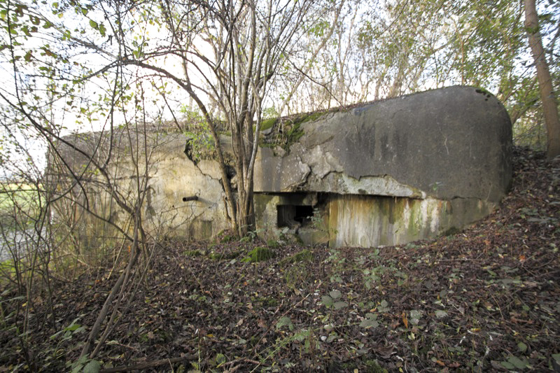 Ligne Maginot - B66 - OBERWEIDE - (Blockhaus pour arme infanterie) - Vue générale de la façade sud