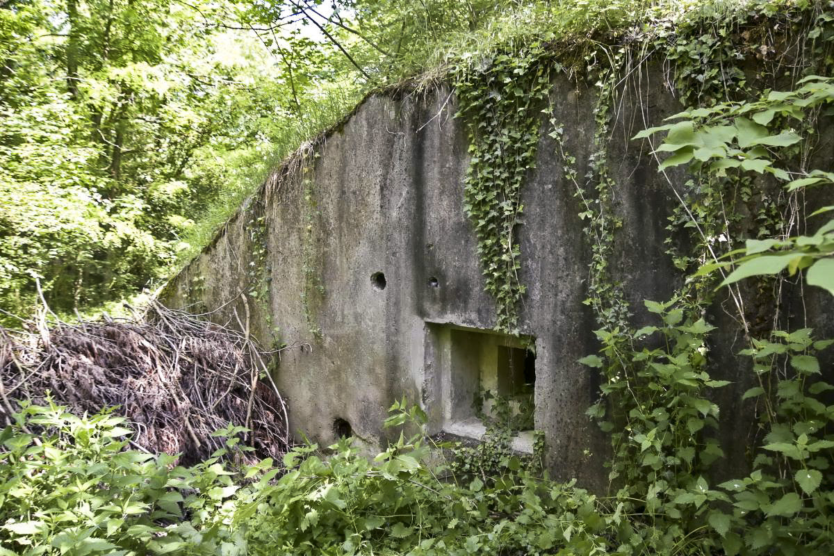 Ligne Maginot - B242 - ECLUSE 63 NORD - (Blockhaus pour canon) - Créneau de tir FM pour la défense rapprochée. Sous le bois à gauche l'entrée. 