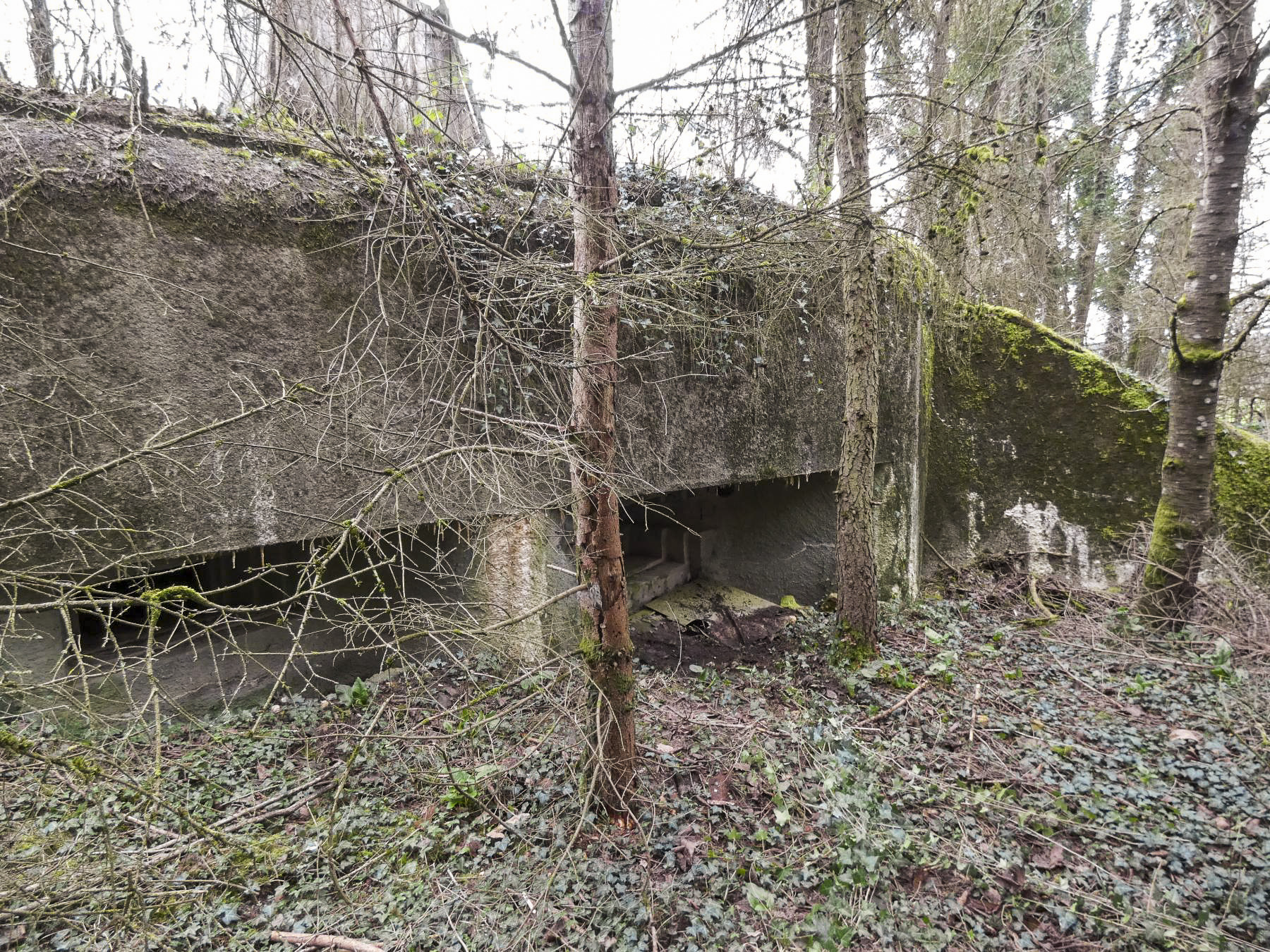 Ligne Maginot - CB2BIS - (Blockhaus pour canon) - La façade de tir.