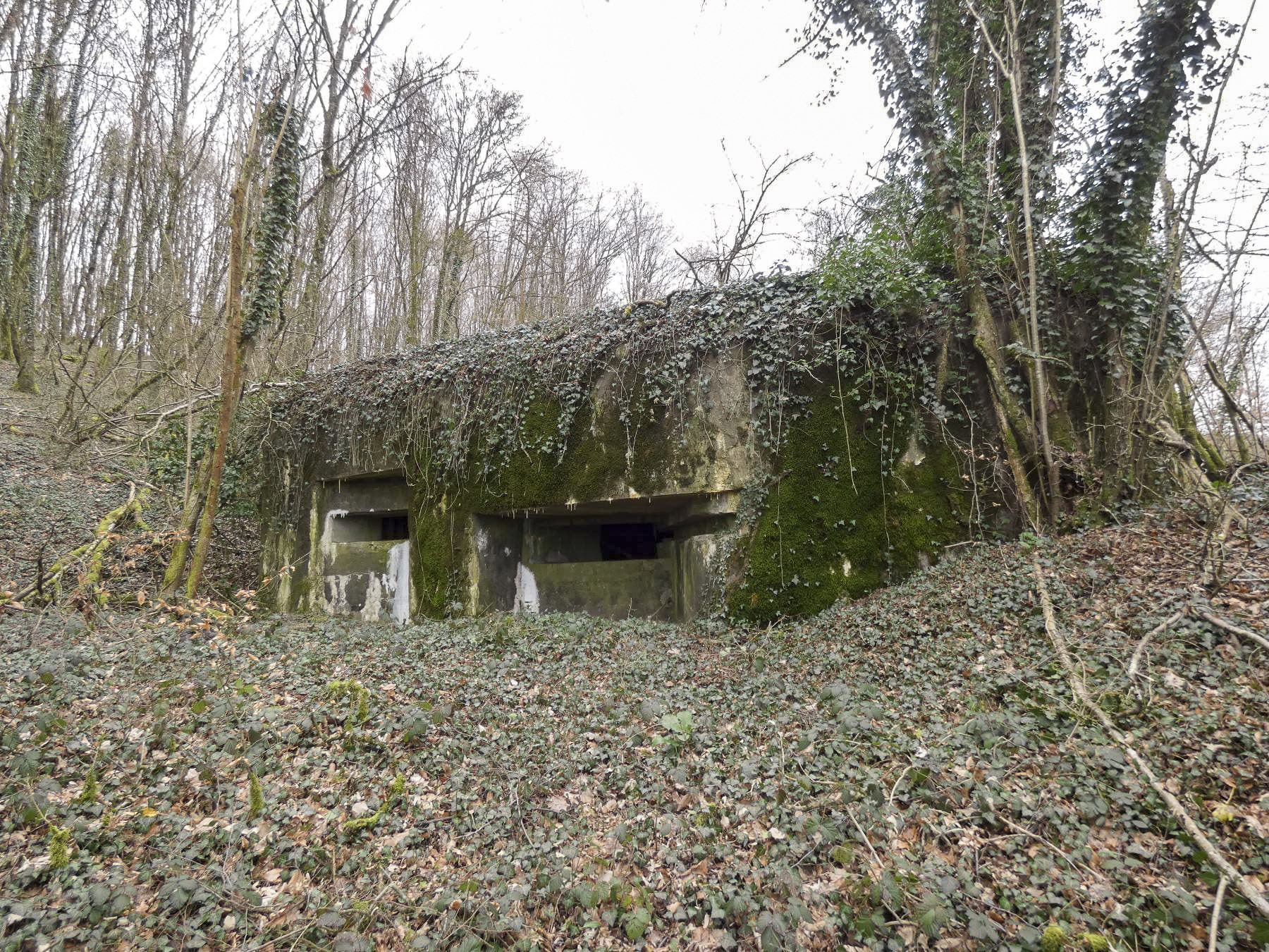 Ligne Maginot - CB2 - (Blockhaus pour canon) - La façade de tir vers l'Est.