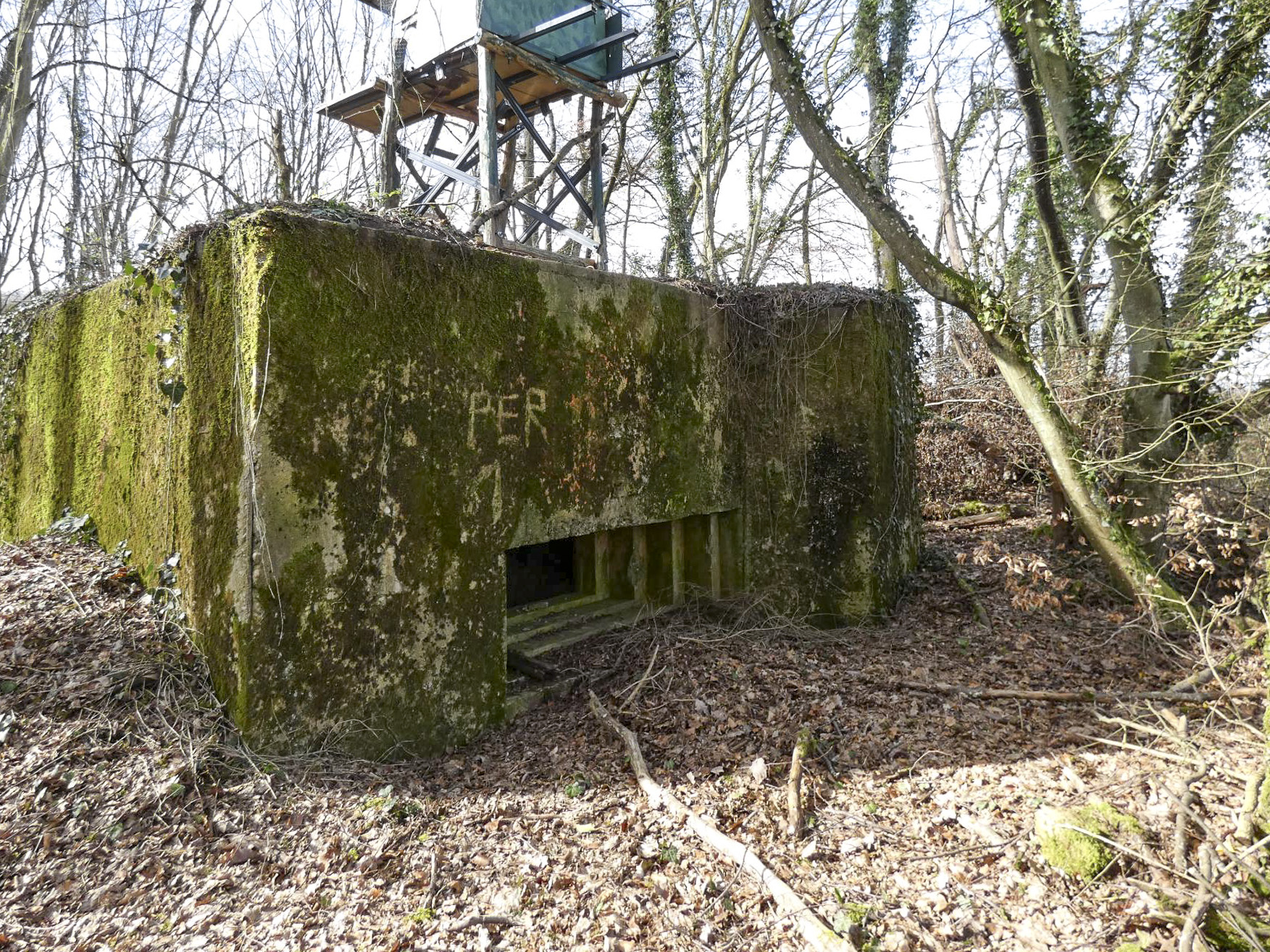 Ligne Maginot - CB104 - RAFERT - (Blockhaus pour canon) - La façade de tir.