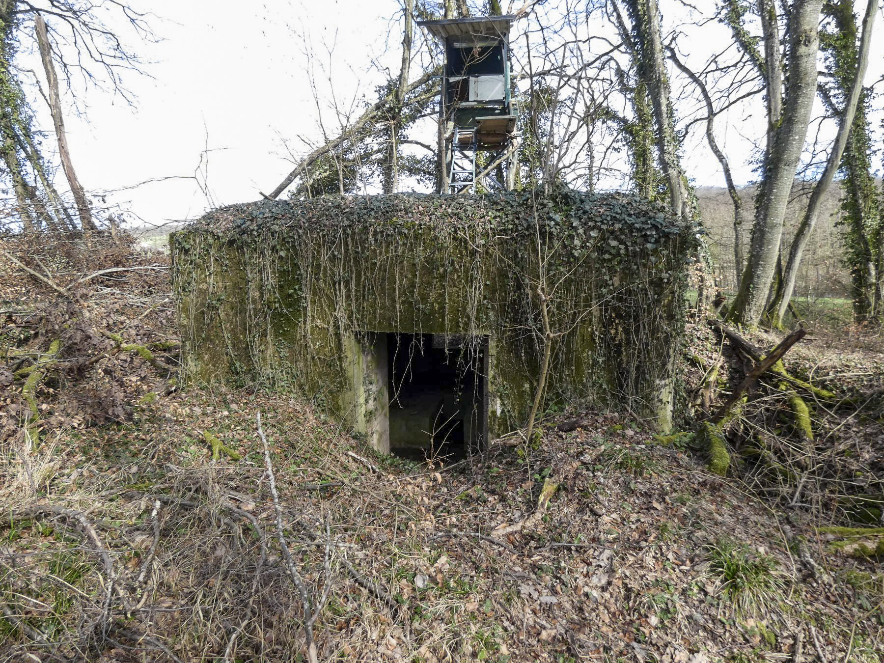 Ligne Maginot - CB104 - RAFERT - (Blockhaus pour canon) - La façade arrière avec l'entrée du canon.