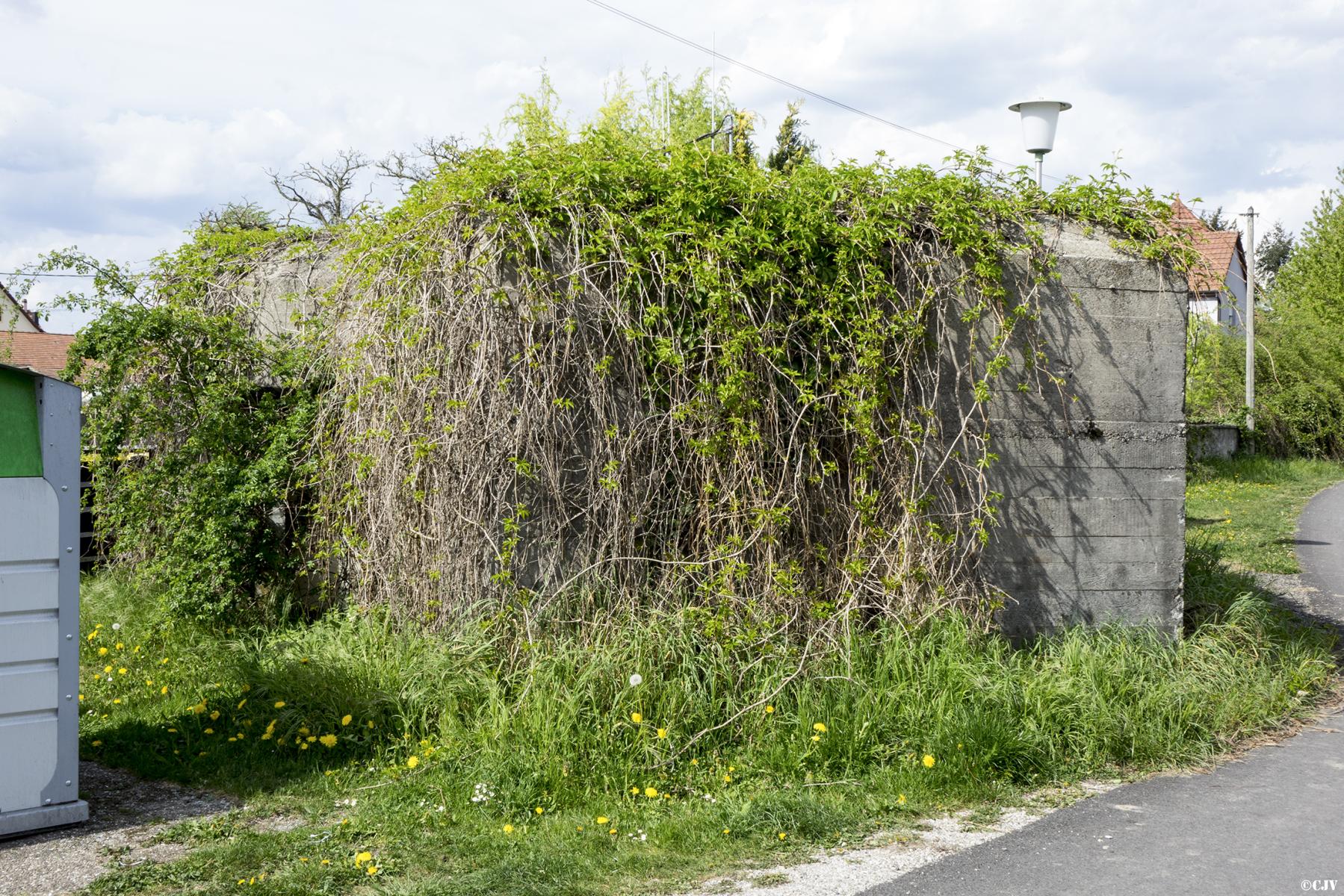 Ligne Maginot - HILSENHEIM SUD - (Blockhaus pour arme infanterie) - 