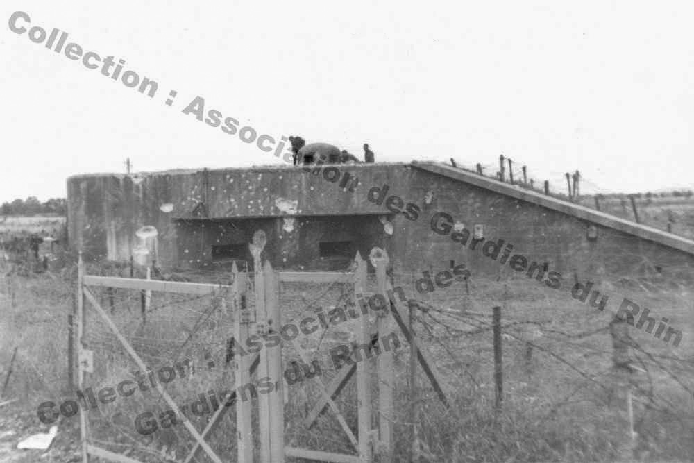 Ligne Maginot - 49/3 - BALGAU SUD - (Casemate d'infanterie - double) - 