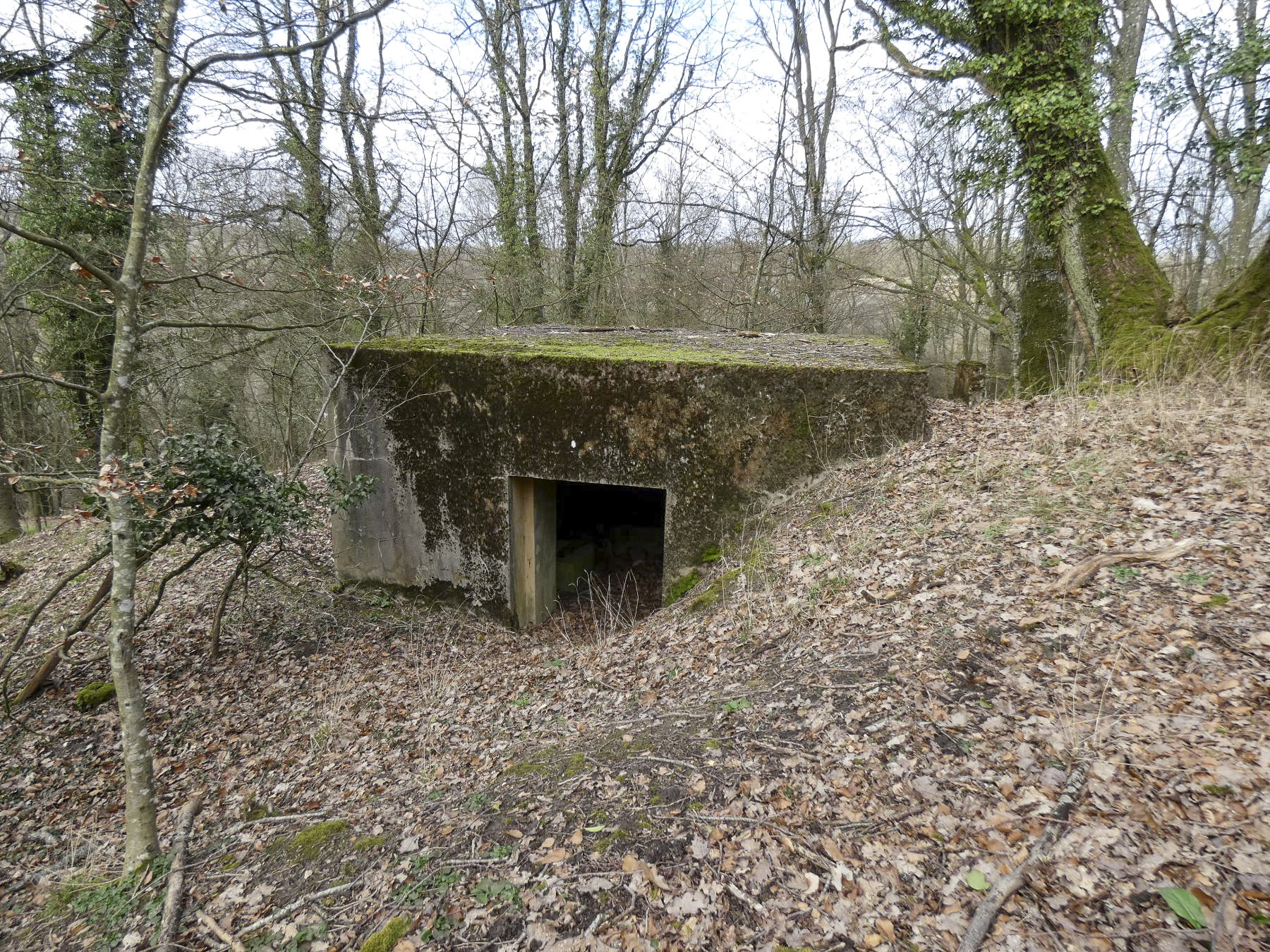 Ligne Maginot - CB147 - WALDCHEN SUD - (Blockhaus pour canon) - La façade arrière avec l'entrée du canon.