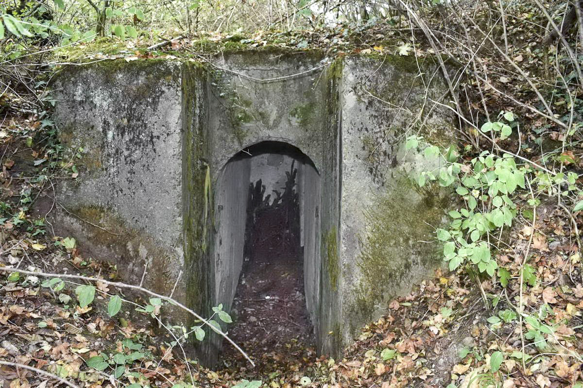Ligne Maginot - BOIS DE DESSENHEIM EST 3 - (Blockhaus pour arme infanterie) - L'entrée