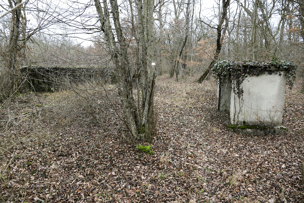 Ligne Maginot - BORNE DE L'OBERWALD - (Chambre de coupure) - La chambre de coupure et l'abri à proximité