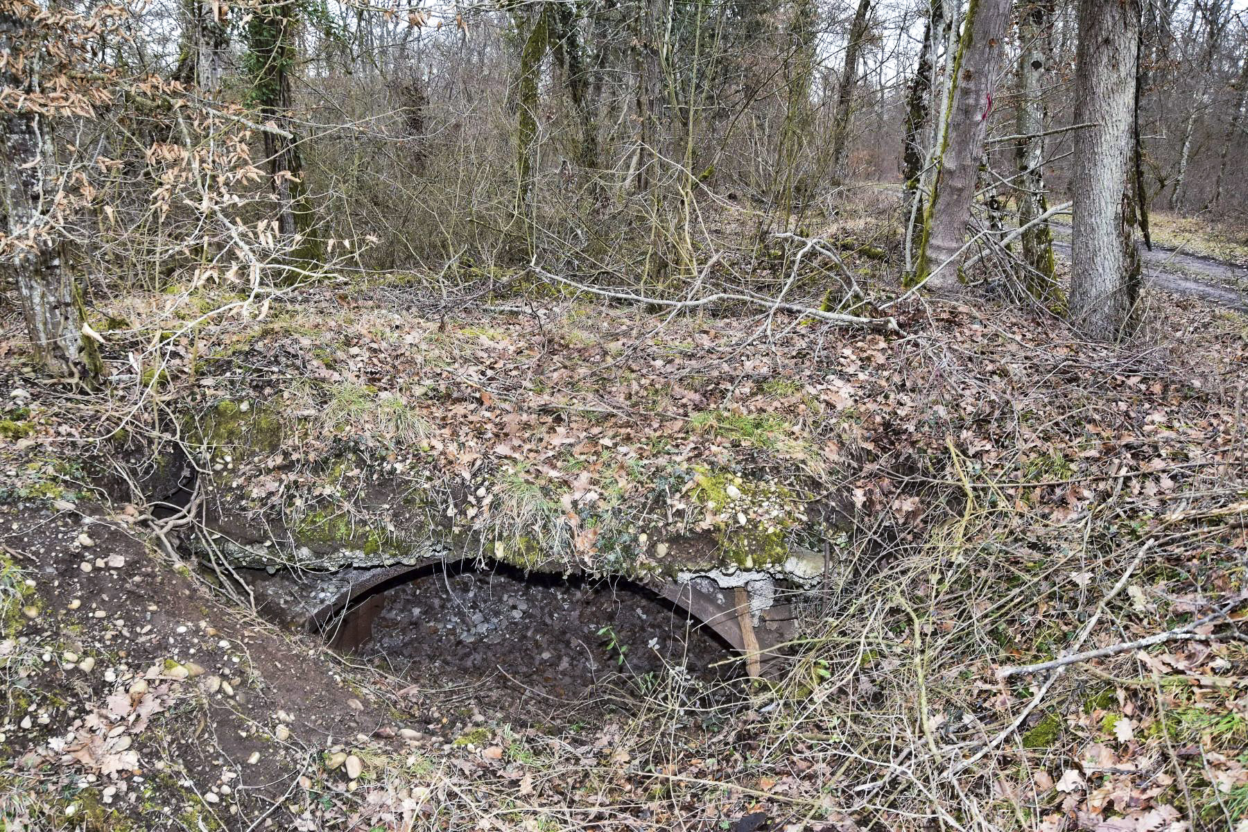 Ligne Maginot - EUSTACHE 2 - (Position d'artillerie préparée) - Abri effondré