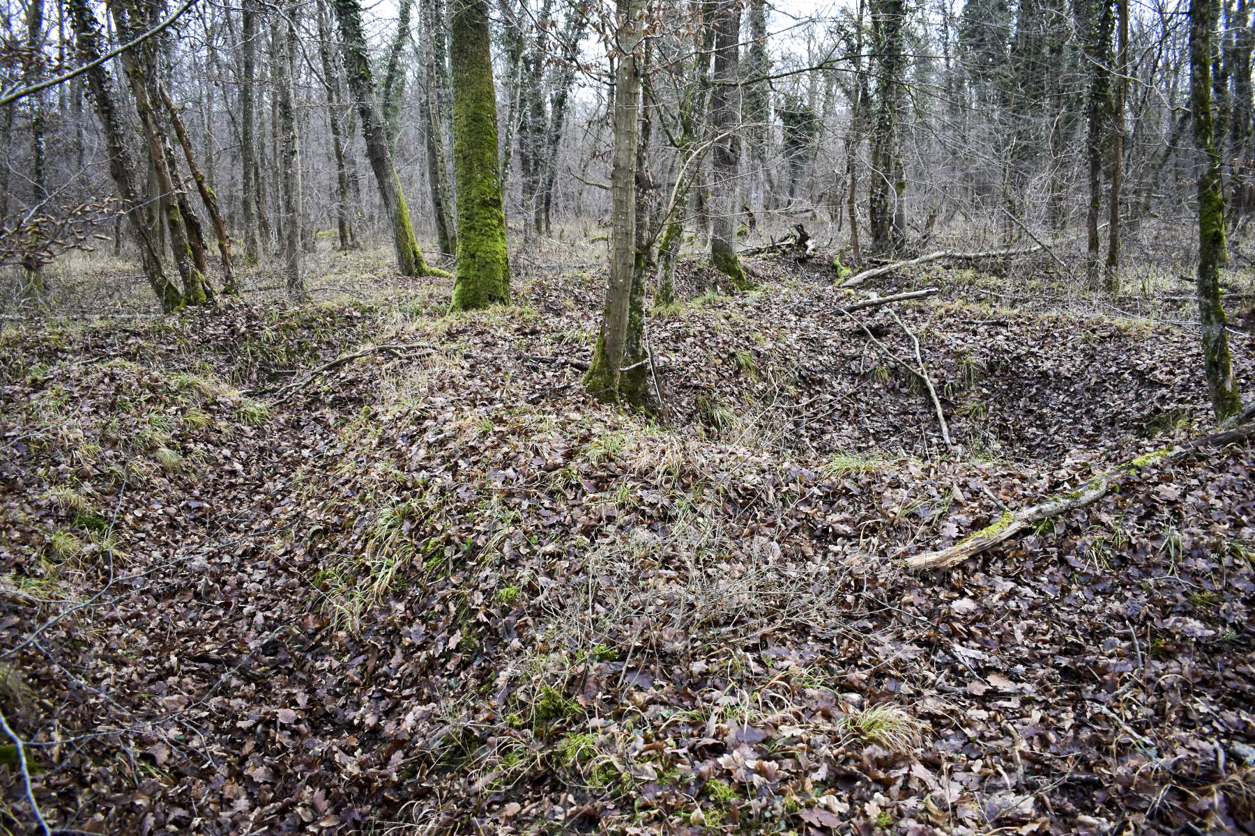 Ligne Maginot - GASPARD 2/316° RAP - (Position d'artillerie préparée) - Vue des restes des boyaux et excavation
