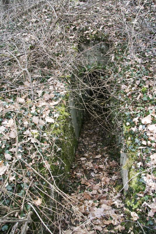 Ligne Maginot - LA BARONNIE 2 - (Blockhaus pour arme infanterie) - Entrée 2