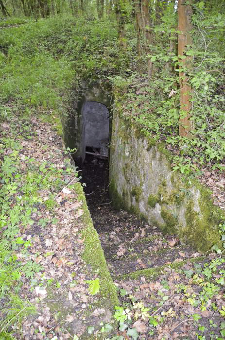 Ligne Maginot - OTTMARSHEIM NORD 1 - (Cuve pour arme d'infanterie) - Entrée en courbe coté nord