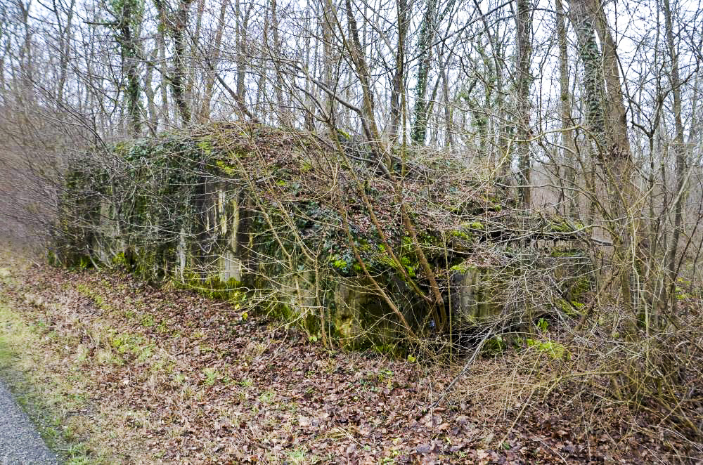 Ligne Maginot - PA CARREFOUR 222.2 OUEST - (Blockhaus pour canon) - Façade nord coté Munchhouse