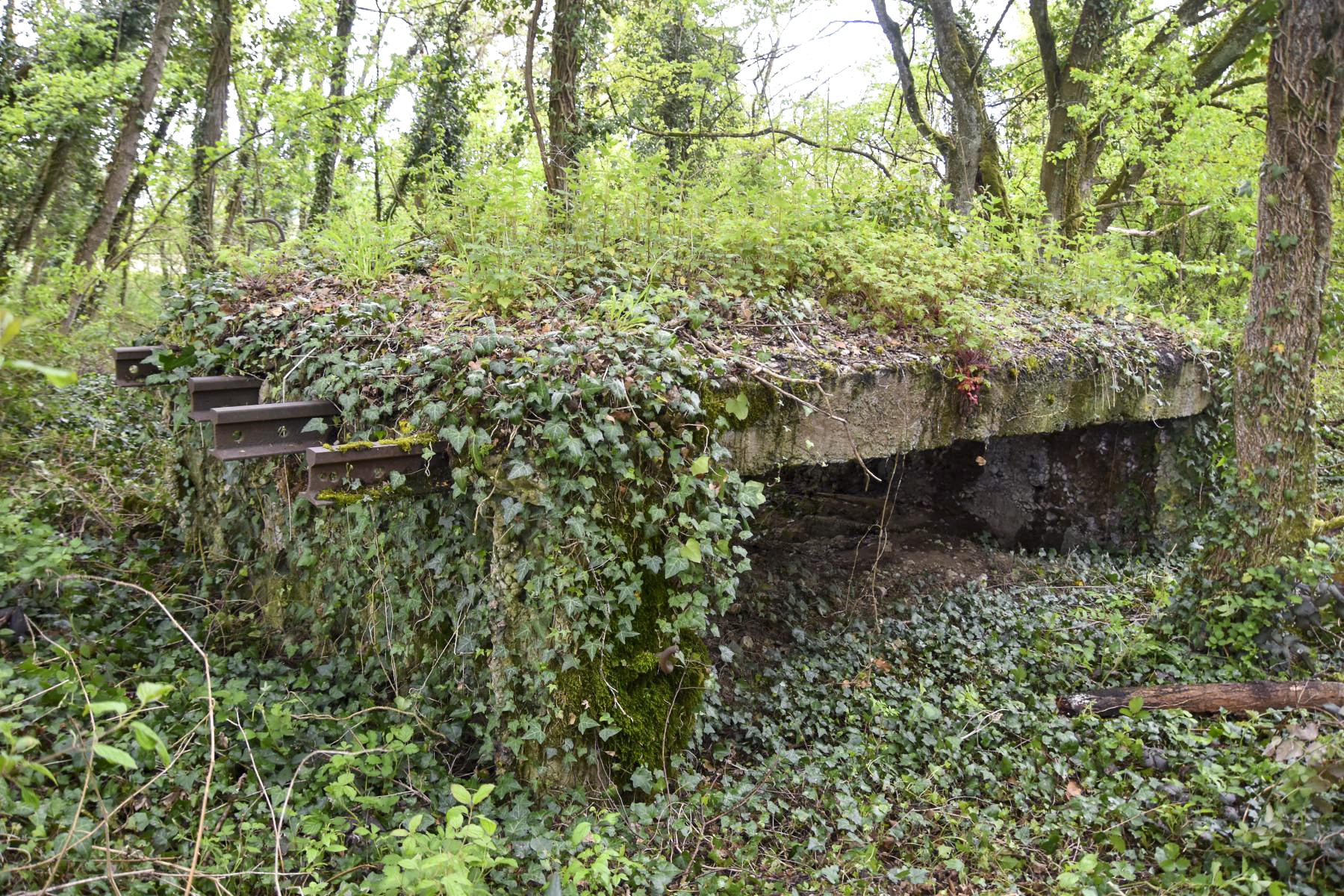 Ligne Maginot - PA DE HOMBOURG 4 - (Blockhaus pour canon) - Façade ouest avec l'entrée
