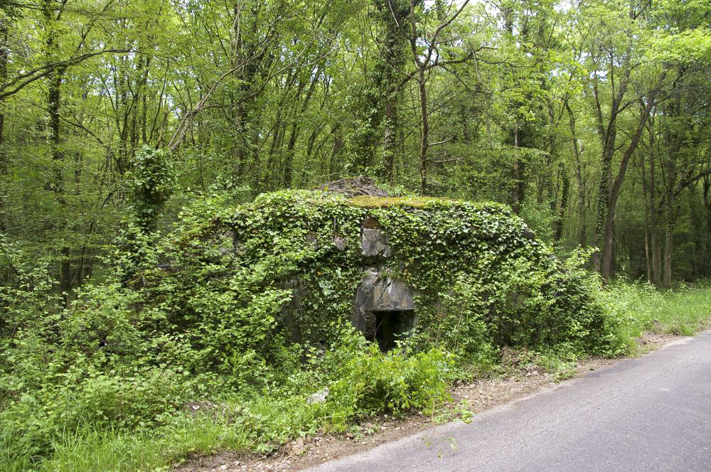 Ligne Maginot - ZIMMERPLAN - (Blockhaus de type indéterminé) - Abri détruit. Vue sur le créneau de tir protégeant le chemin forestier venant du pont du Bouc.