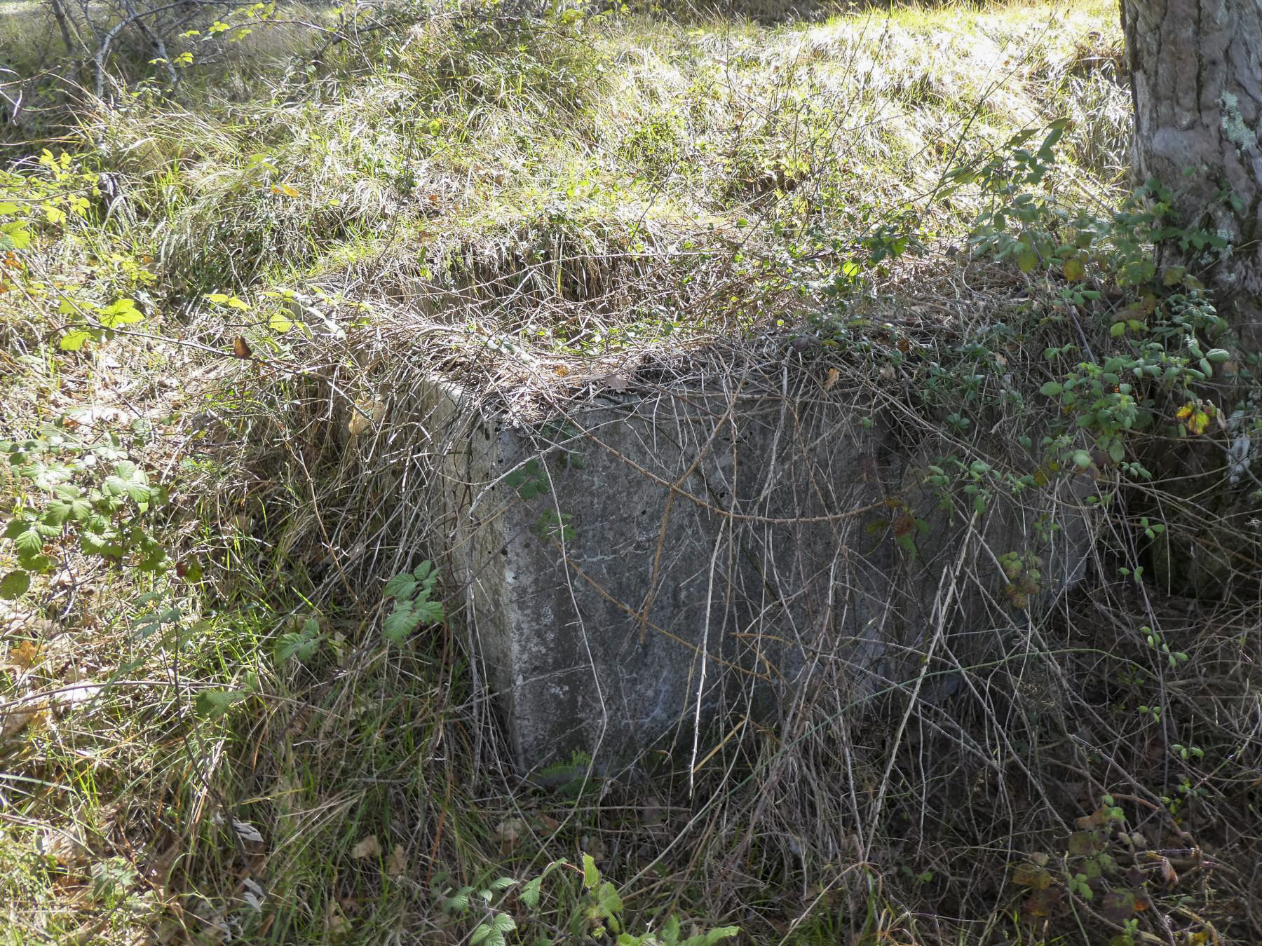Ligne Maginot - BAISSE DU PAPE - (Cuve pour arme d'infanterie) - Environnement: un petit bassin
