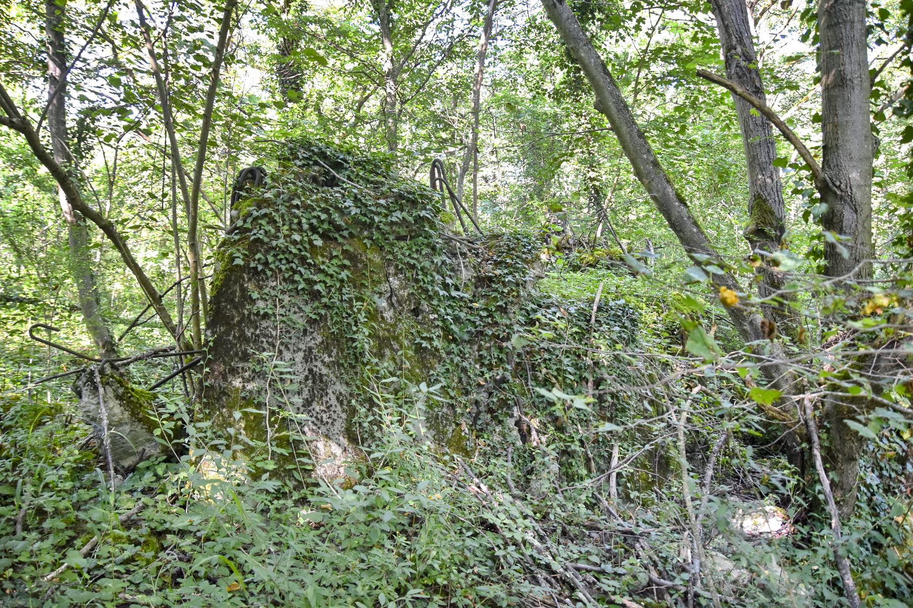 Ligne Maginot - ERLENGRIEN - (Blockhaus pour arme infanterie) - Ruine du blockhaus