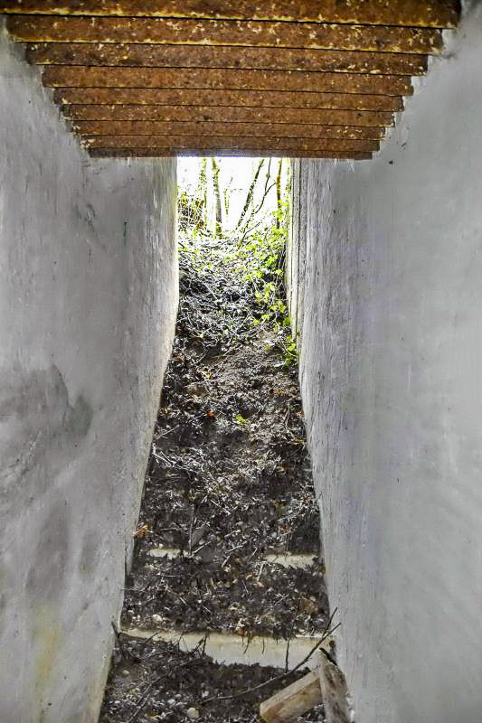 Ligne Maginot - GEISSMATTEN 1 - (Abri) - Escalier vue montante