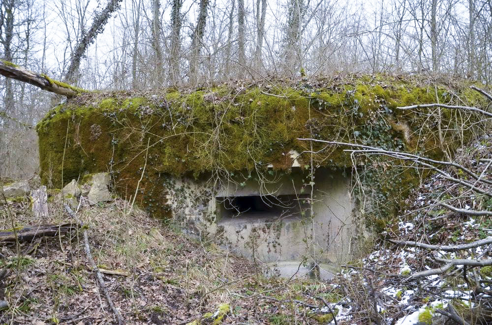 Ligne Maginot - PA DU CARREFOUR 248-6 - (Blockhaus pour arme infanterie) - Vue sur le créneau de tir