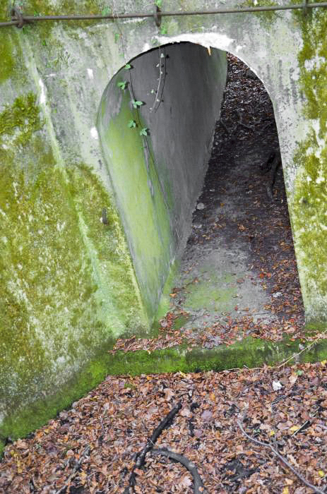 Ligne Maginot - PA DU CARREFOUR 252-4 - (Blockhaus pour arme infanterie) - Tunnel d'accès venant de l'arrière depuis une ancienne carrière. Il a une longueur de 6,90 m et large de 1,10 m sur une hauteur au milieu de l'arc de 2,05 m.  l'arc débute à une hauteur de 1,60m.