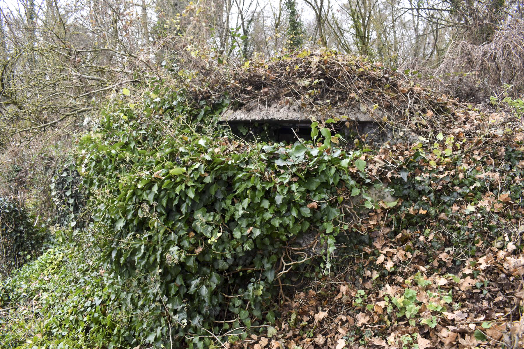 Ligne Maginot - PA KEMBS CENTRE 4 - (Blockhaus pour arme infanterie) - La coupole
