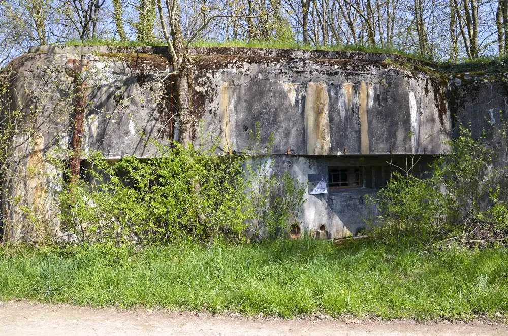 Ligne Maginot - 89 - TAPFELBAUM - (Casemate d'infanterie - Double) - Créneaux de tir Sud-ouest