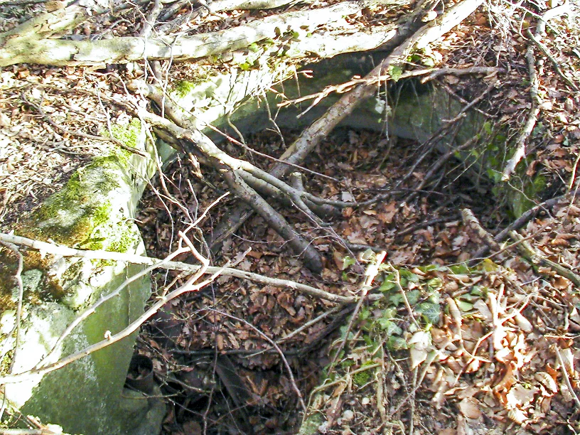Ligne Maginot - CESARHOF 3 - (Cuve pour arme d'infanterie) - La photo est prise depuis le toit de la galerie souterraine.
Ce petit abri à deux entrées a ses entrées obstrués partiellement par des branches d'arbres mais reste accessible avec un peu de nettoyage.