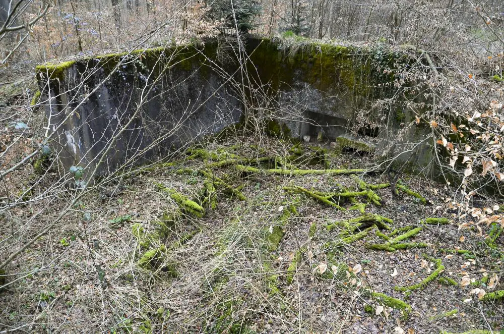 Ligne Maginot - EICHWALD (BATTERIE DE L') - (Position d'artillerie préparée) - Encuvement 1