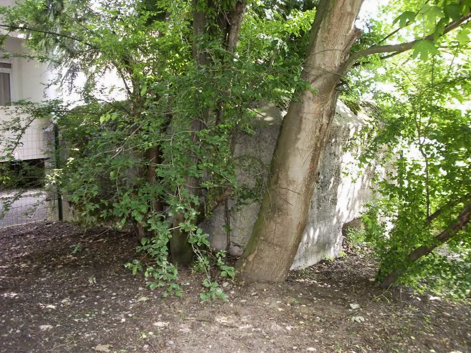 Ligne Maginot - HOPITAL - (Blockhaus pour arme infanterie) - L'ouverture ou le créneau est caché par les arbres