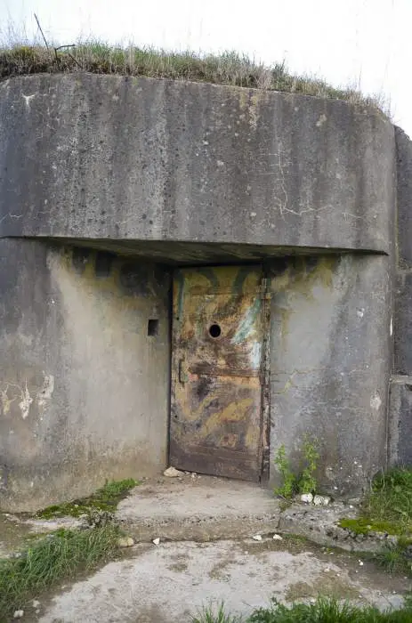 Ligne Maginot - LINSDORF SUD - (Blockhaus pour canon) - Détail de l'entrée qui se fait au niveau du sol et vue du camouflage.