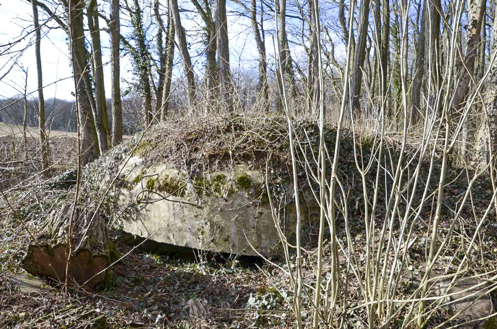 Ligne Maginot - PA DU LINSENBERG 4 - (Blockhaus pour canon) - Vue extérieure de la coupole