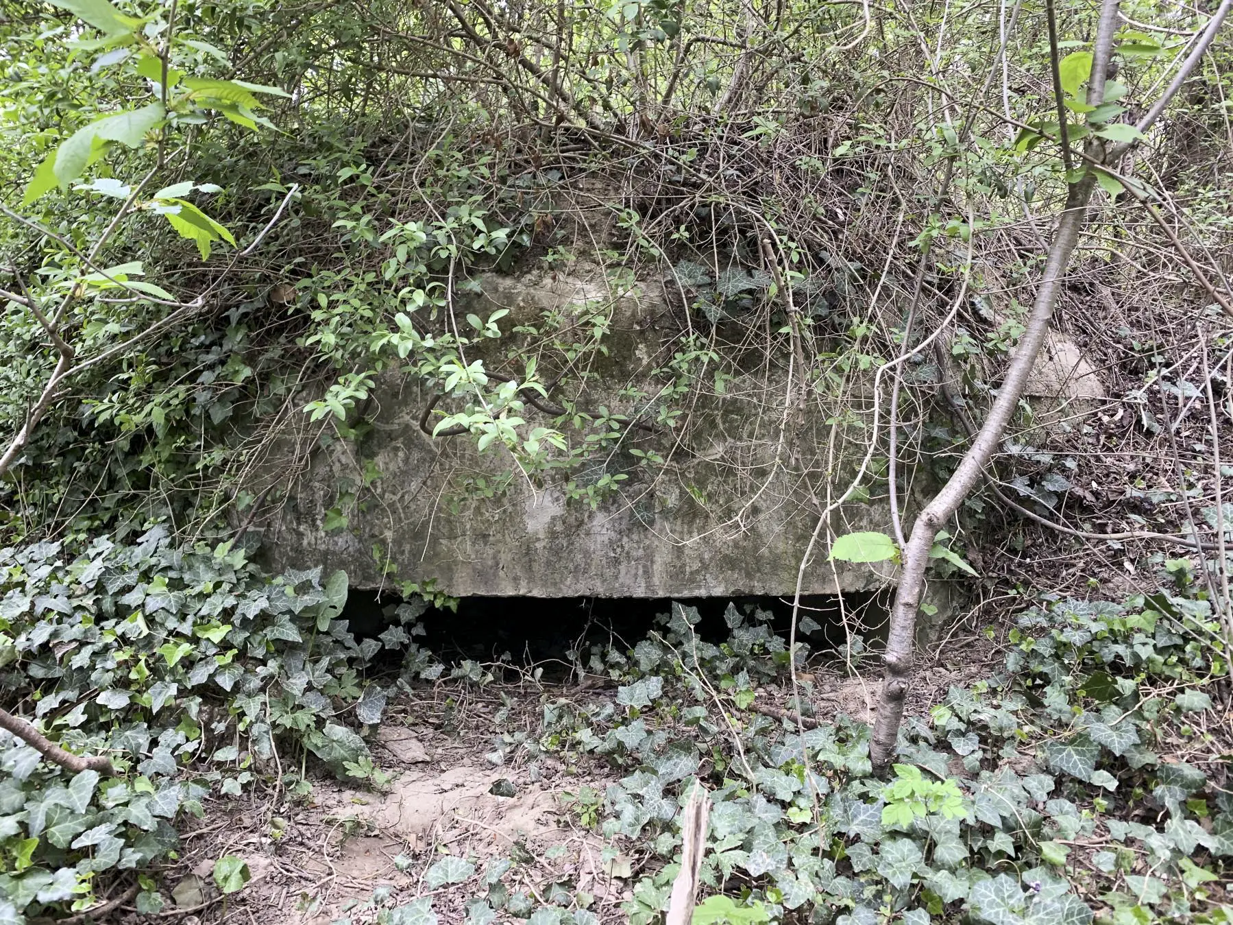 Ligne Maginot - PA DU LINSENBERG 4 - (Blockhaus pour canon) - 