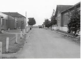 Ligne Maginot - ANGEVILLERS (CAMP) - (Camp de sureté) - Allée du camp dans les années 60 alors que le camp d