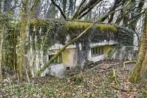 Ligne Maginot - PA DE SIERENTZ OUEST 1 - (Blockhaus pour canon) - 