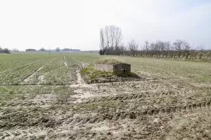 Ligne Maginot - SPITZACKER 2 - (Blockhaus pour arme infanterie) - 
