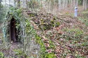 Ligne Maginot - NEUNEICH 5 - (Abri) - Vue coté droit
On remarque bien le camouflage que provoque la végétation