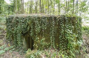 Ligne Maginot - HASELBERG - (Blockhaus pour arme infanterie) - 