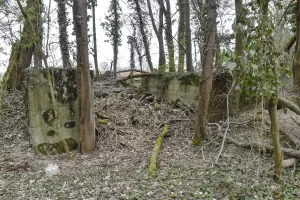 Ligne Maginot - VOGELSANG - (Position d'artillerie préparée) - Emplacement 2, sans dalle
